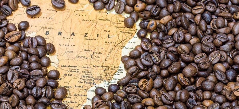 قهوه برزیل بزرگترین تولید کننده قهوه