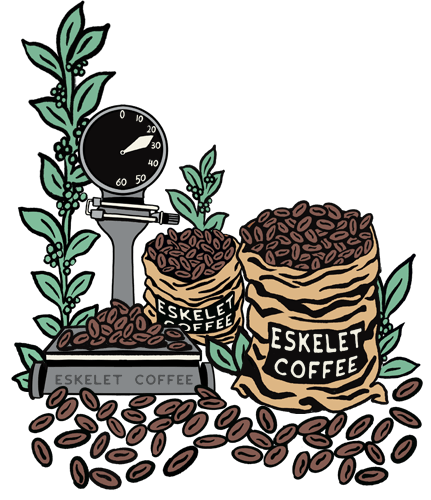 فروش عمده - کیسه قهوه اسکلت