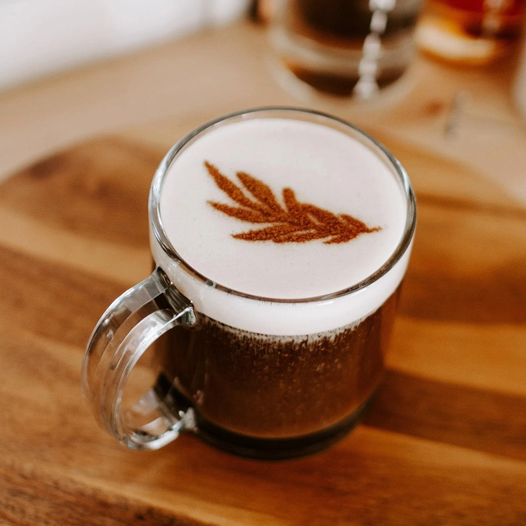 شابلون استیل قهوه و کاپوچینو ST01 مخزن دار